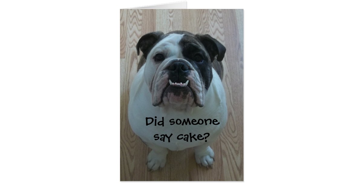English Bulldog Cake English Bulldog Cake