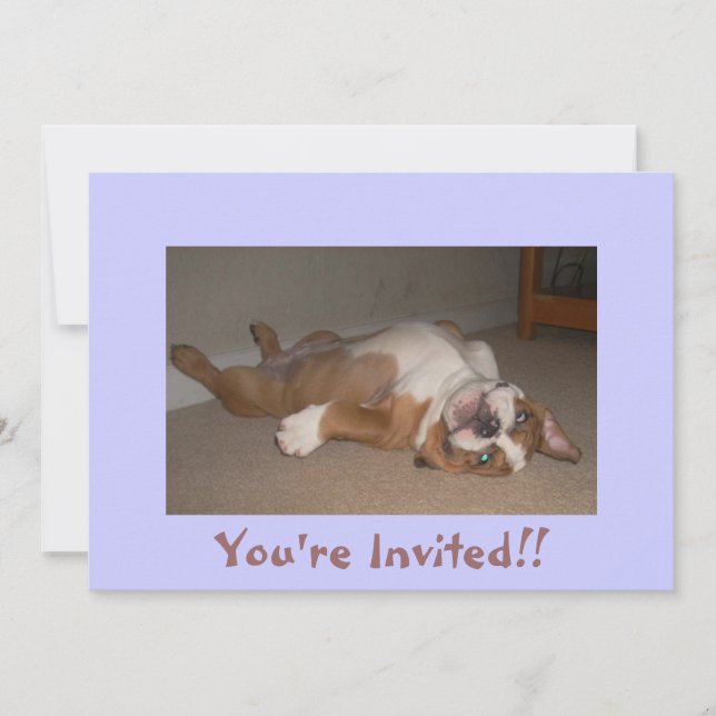 Funny English Bulldog Invitations (Front)