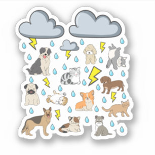 Funny English Idiom Raining Cats and Dogs Puppies 