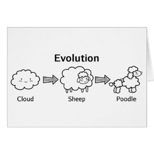 Funny evolution of cloud into sheep and poodle