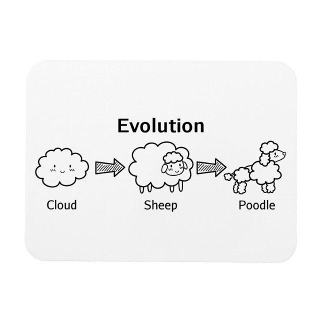 Funny evolution of cloud into sheep and poodle magnet (Horizontal)