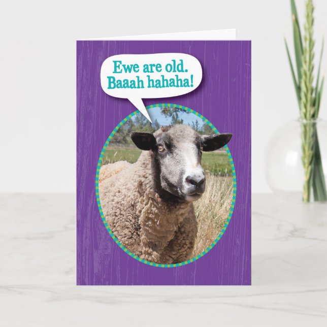 Funny Ewe Old Sheep Shot Birthday Card (Front)