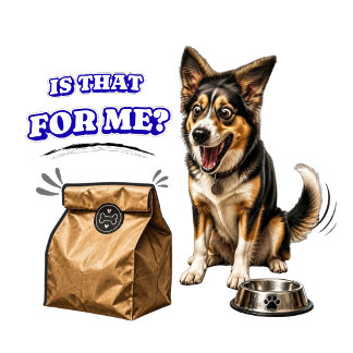 Funny Excited Dog Waiting For Food – Is That For M Tri-Blend Shirt