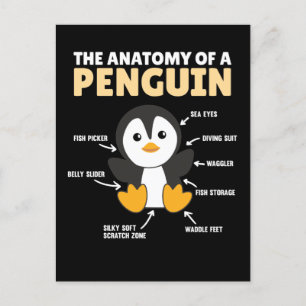 Funny Explanation Of A Penguin The Anatomy Postcard
