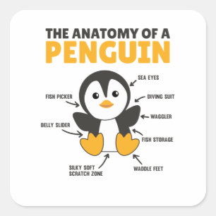Funny Explanation Of A Penguin The Anatomy Square Sticker