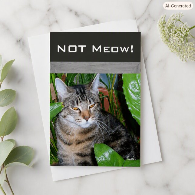 Funny Expression " Not Meow" Cat Note Card (Creator Uploaded)
