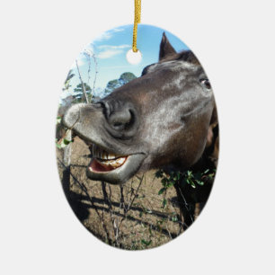 Funny Face brown horse Ceramic Ornament