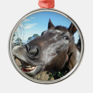 Funny Face brown horse Metal Ornament