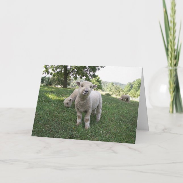 Funny Face Card (Front)