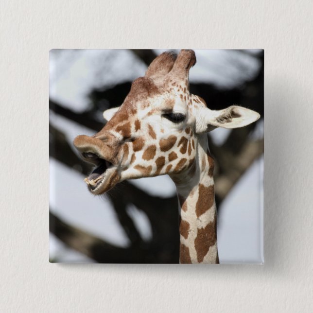 Funny faced reticulated giraffe, San Francisco 2 Inch Square Button (Front)