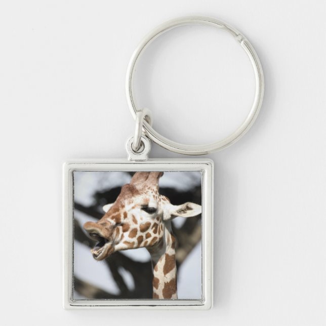 Funny faced reticulated giraffe, San Francisco Keychain (Front)