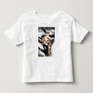 Funny faced reticulated giraffe, San Francisco Toddler T-shirt