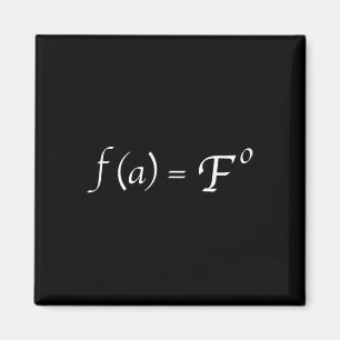 Funny Fafo Math Equation Novelty Math Teacher  Magnet