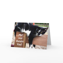 Funny Farm Cat photo carte de voeux