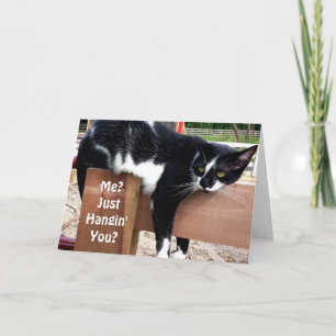 Funny Farm Cat Photo Greeting Card