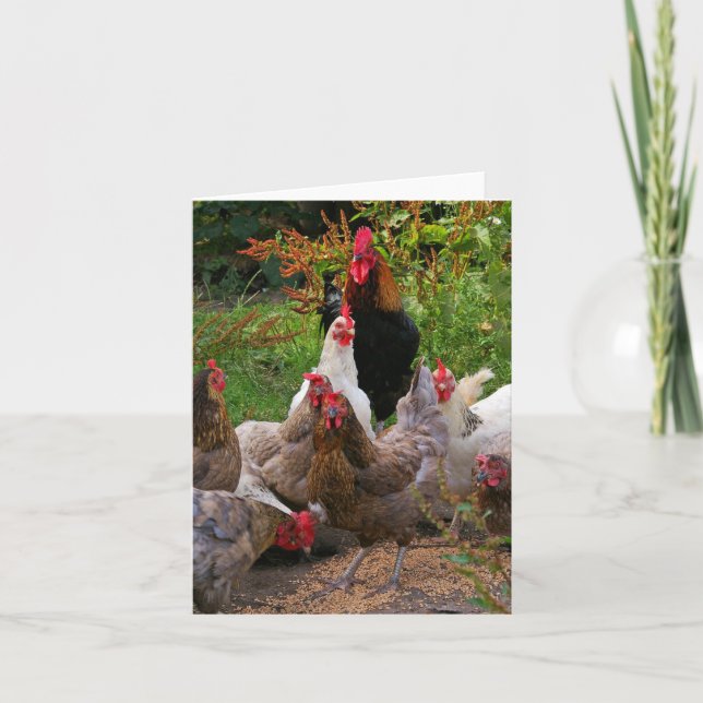 Funny Farmyard Chickens & Rooster Note Card (Front)