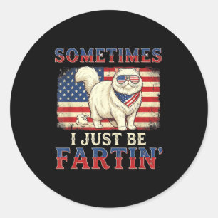 Funny farting cat american flag retro 4th of july classic round sticker