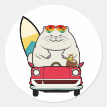 Funny fat cat is driving to the beach