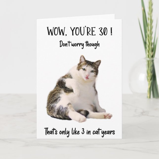 Funny Fat Cat Sitting Birthday Greeting Card  (Front)