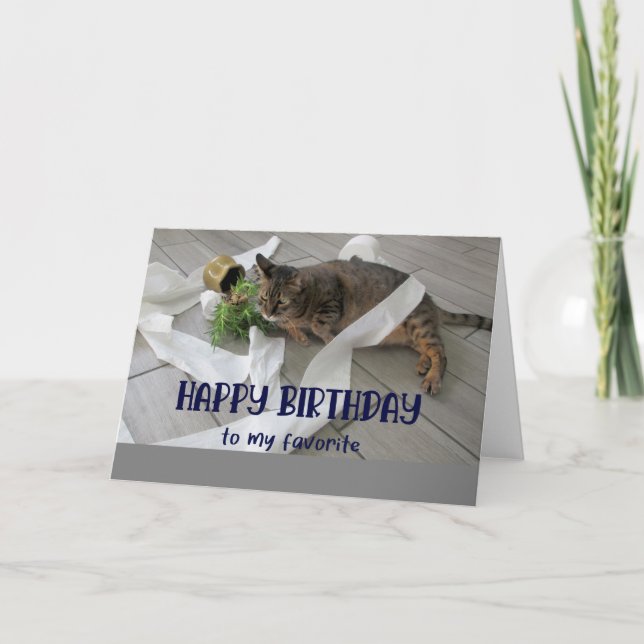 Funny Fat Chat Carte de voeux Anniversaire (Devant)