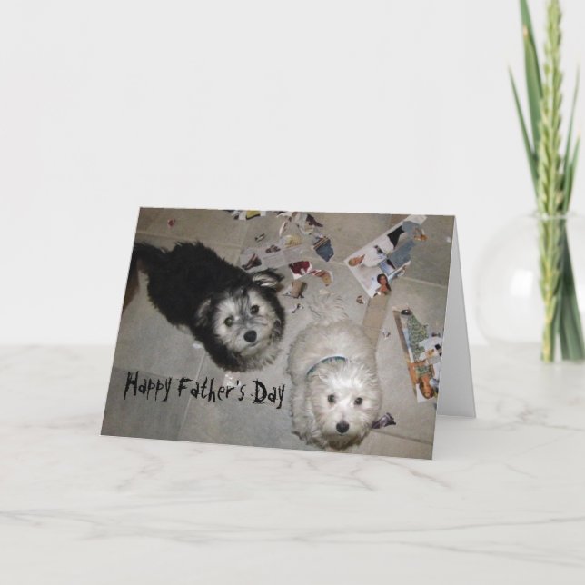 funny Father's Day Havanese Puppies Card (Front)