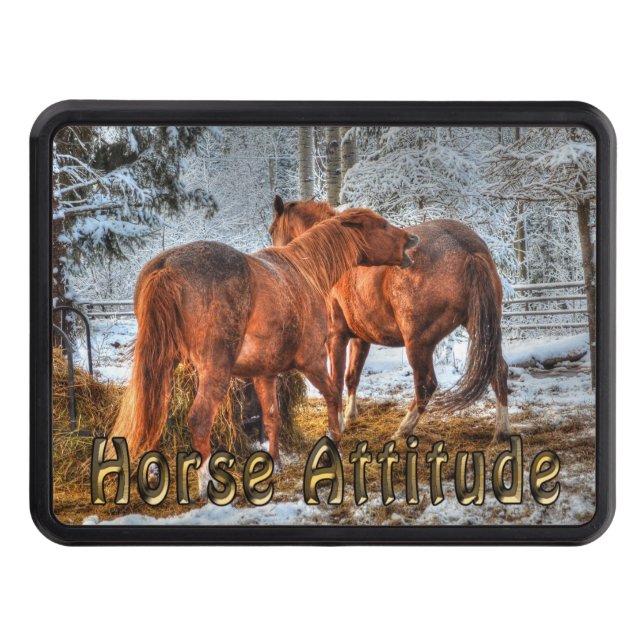 Funny Feisty Dun amd Chestnut Ranch Horse Attitude Trailer Hitch Cover (Front)