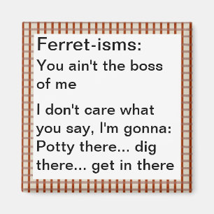 Funny Ferret-ism Quotes Magnet