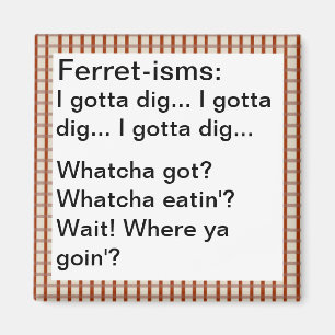 Funny Ferret-ism Quotes Magnet