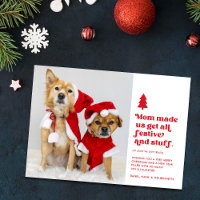 Funny Festive Plural Pets Photo Christmas | White