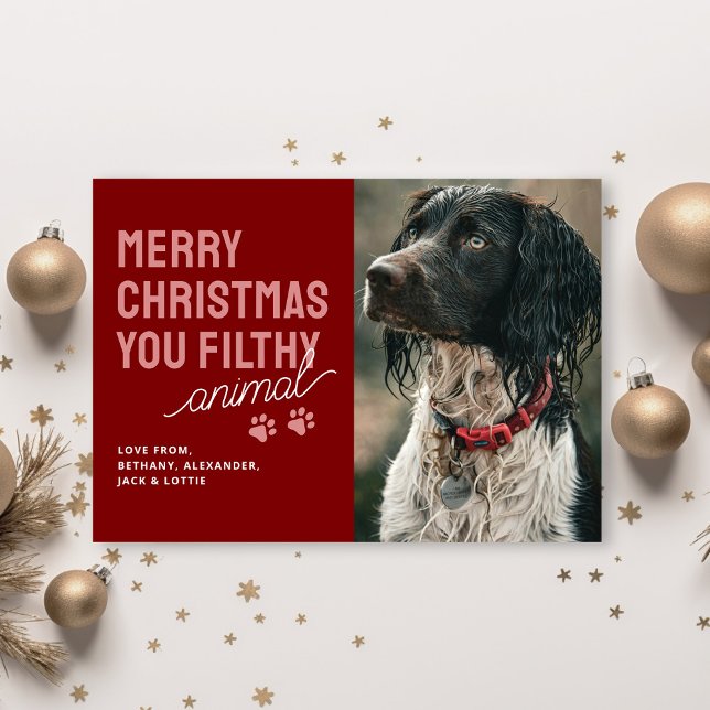 Funny Filthy Animal Pet Christmas Card (Creator Uploaded)