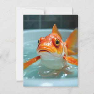 Funny fish in the bath postcard