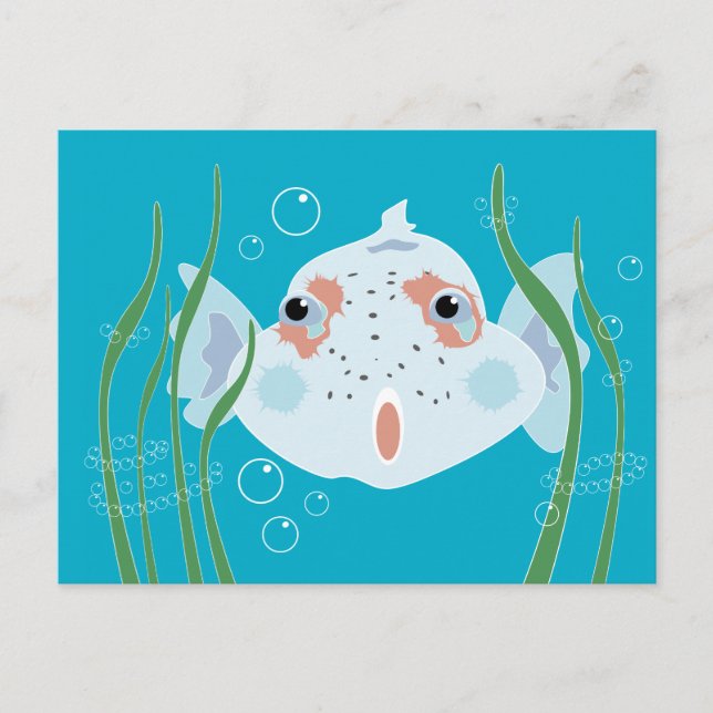 Funny Fish Postcard (Front)