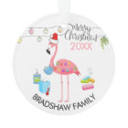 Funny Flamant rose Famille 2020 Covid Christmas Tr