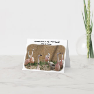 Funny Flamingo Friend Greeting Card