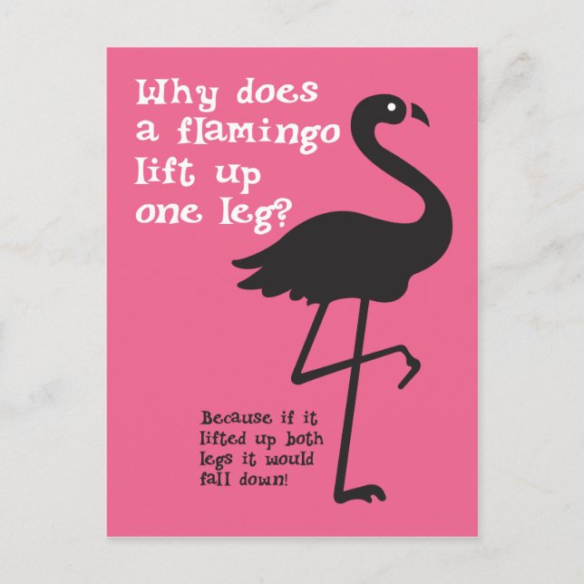 Funny Flamingo Riddle Postcard (Front)
