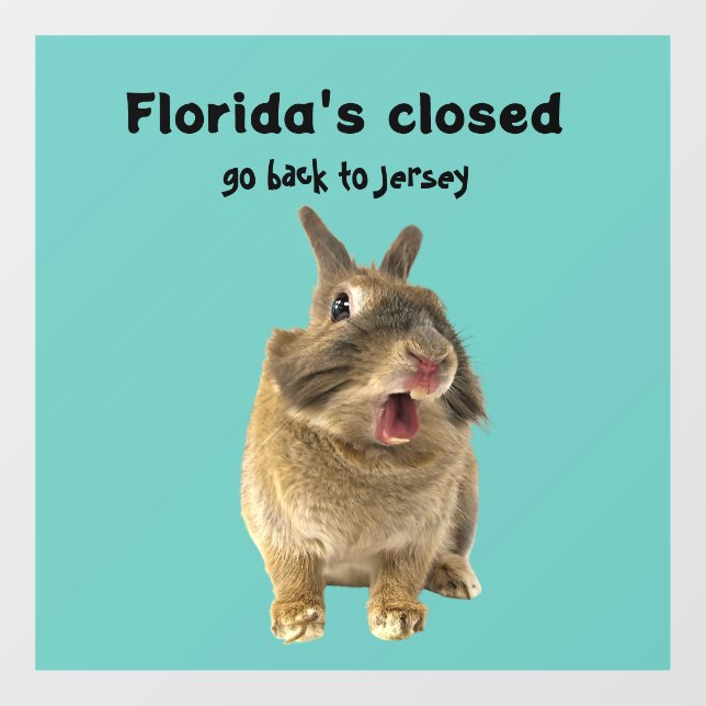 Funny Florida New Jersey Window Decal (Sheet)