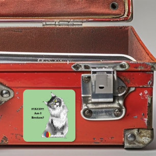 Funny Fluffy Maine Coon Cat Green Humour Square Sticker