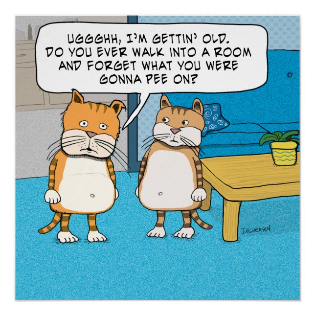 Funny Forgetful Cat Poster (Front)
