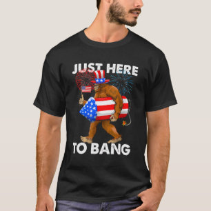 Funny Fourth Of July 4Th Of July I'M Just Here To T-Shirt