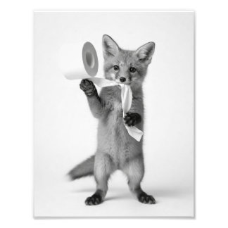 Funny Fox Holding Toilet Paper Minimalist Wildlife Photo Print