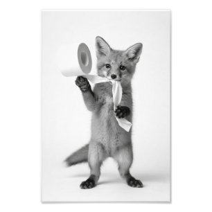 Funny Fox Holding Toilet Paper Minimalist Wildlife Photo Print