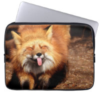 Funny Fox Sticking It's Tongue Out