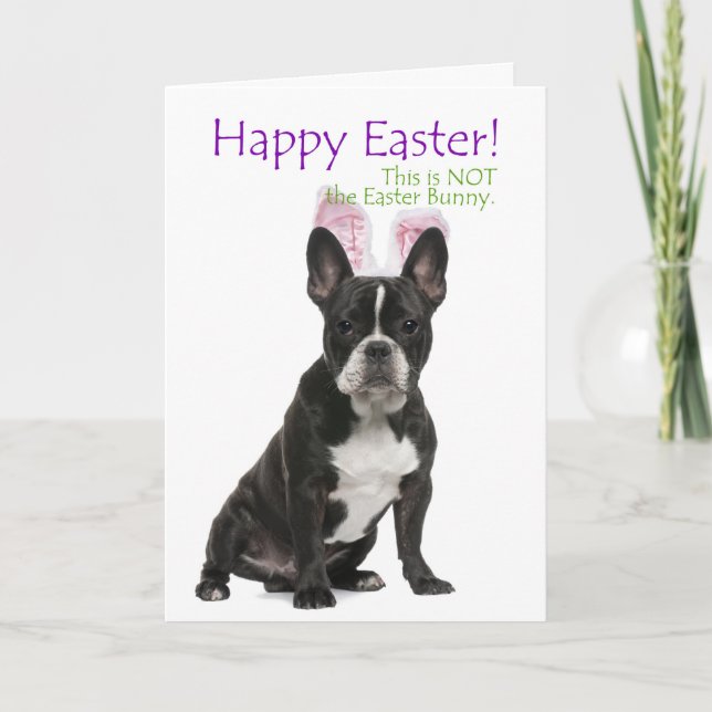 Funny French Bulldog Easter Card (Front)