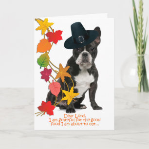Funny Frenchie Thanksgiving Card