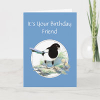 Funny, Friend Birthday, Magpie Watercolor Bird