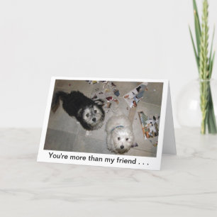 Funny Friend Puppy Birthday Card
