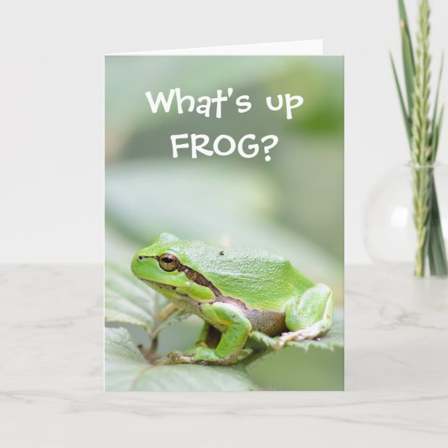 Funny frog greeting card (Front)