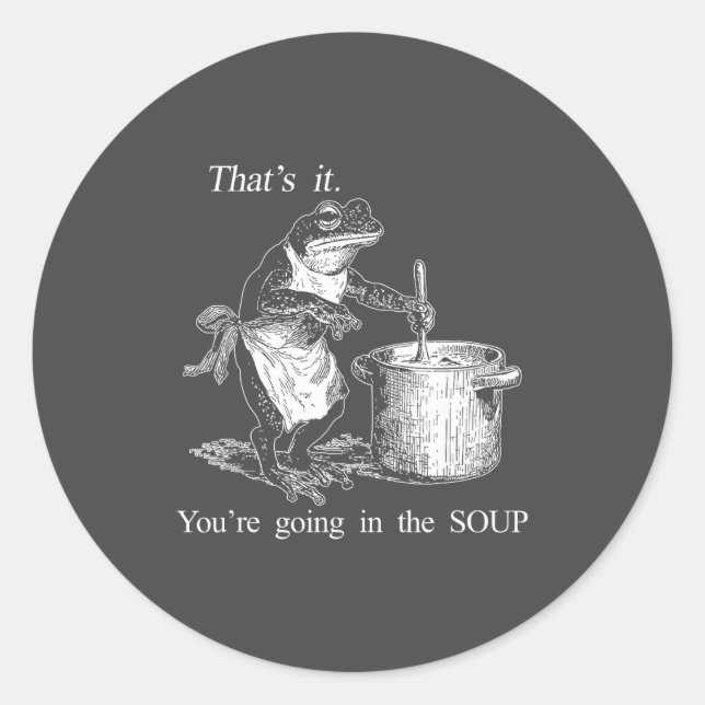 Funny Frog Witch Meme That's It You're Going In Th Classic Round Sticker (Front)