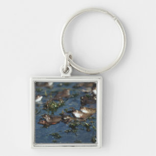 Funny frogs keychain