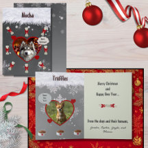Funny "From the Dogs" Dog Lover Christmas Card